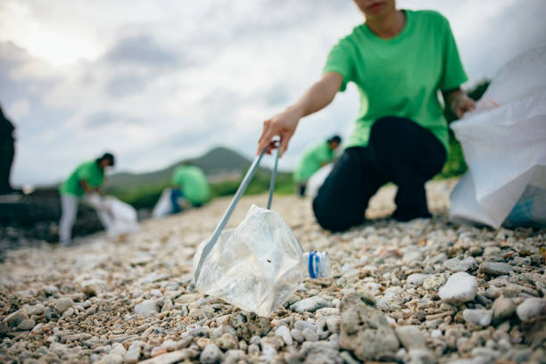istock Community Volunteer Groups on the Beach 1403303582
