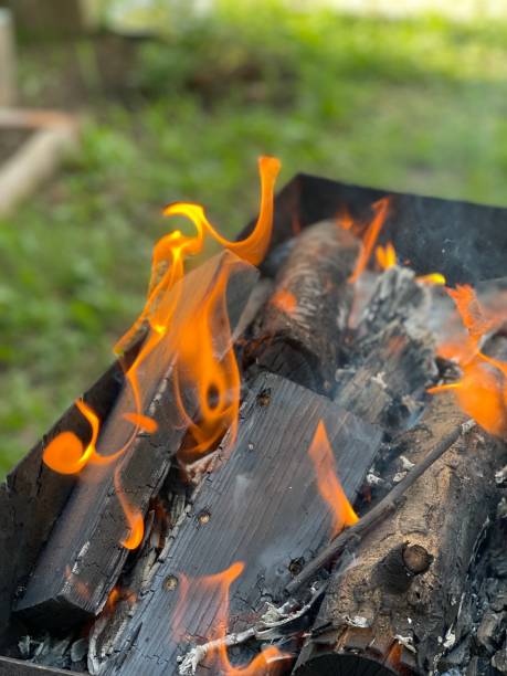 istock Beautiful flames of fire burning in the brazier 1403304413