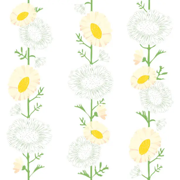 Vector illustration of Seamless floral pattern of white daisies and green leaves