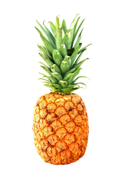 istock Ripe pineapple (Ananas comosus). Isolated on white background 1403305173