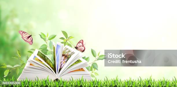Book Of Nature Horizontal Banner With Book Open And Two Monarch Butterflies On Green Grass Stock Photo - Download Image Now