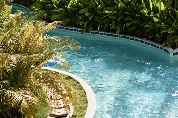istock beautiful turquoise water in the pool surrounded by tropical greenery 1403307877