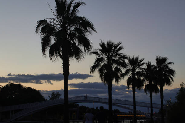 A couple contemplates the sunset in a landscape with clouds and silhouetted palm trees and another couple on a bridge. Horizontal photography.
