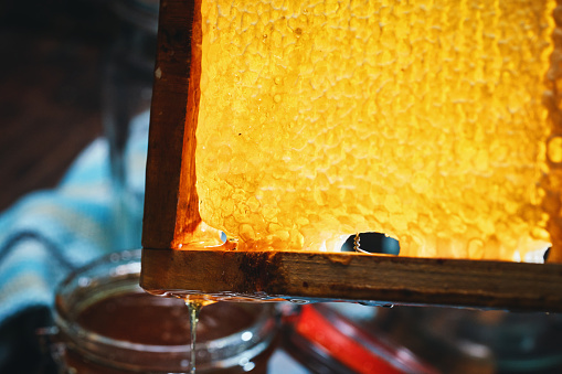 Healthy Honey Slow Dripping from  Honeycombs