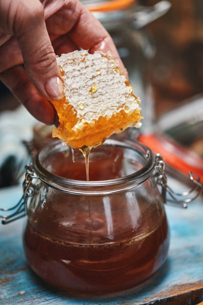 istock Healthy Honey Slow Dripping from  Honeycombs 1403309992
