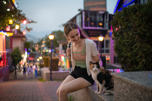 Traveller meeting cat at a street in the evening