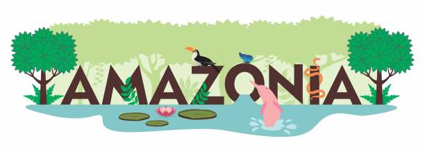 ilustraciones, imágenes clip art, dibujos animados e iconos de stock de selva amazónica - amazonia