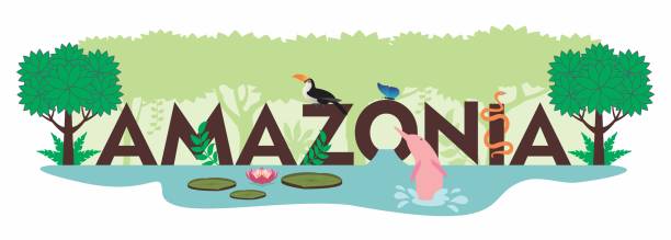 Amazon rainforest Name of the Amazon written in brown letters, adorned with animals and plants typical of the Amazon rainforest. amazonia stock illustrations