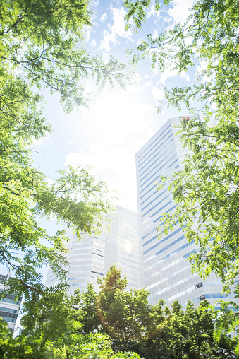 Office buildings seen through among green trees.