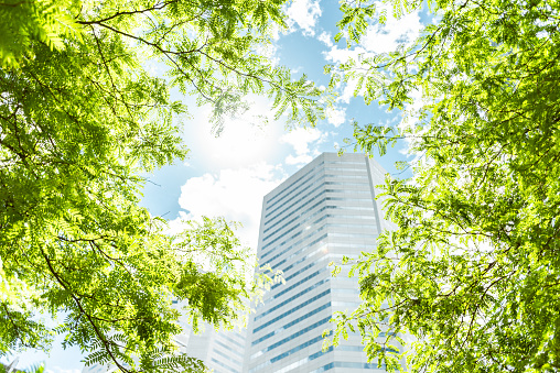 Office buildings seen through among green trees.Trees reduce city noise, purify the air we breath and give us shade, coolness