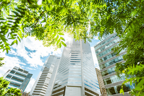 Office buildings seen among green trees.Trees reduce city noise, purify the air we breath and give us shade, coolness