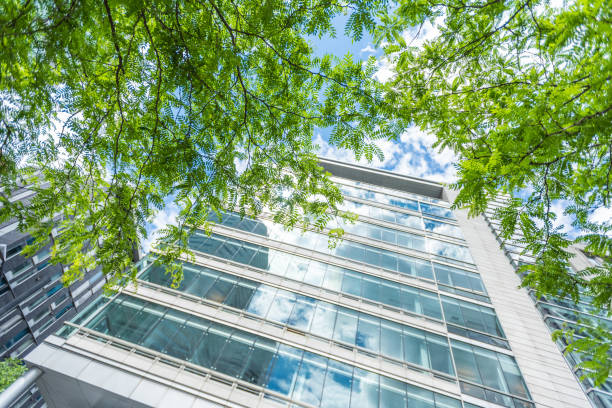 istock Glass, concrete and green trees 1403313741