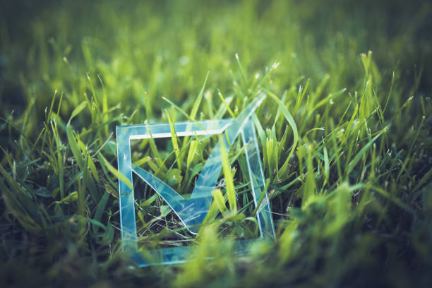 Environnemental conservation concept. Check mark sign in the grass