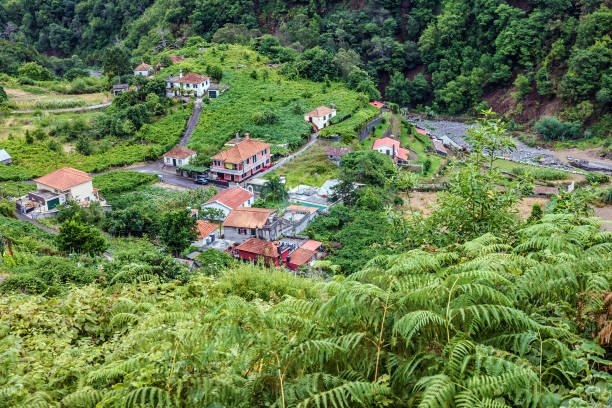 istock Madeira rural houses panoramic view, Portugal 1403314815