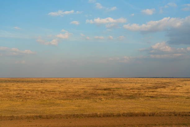 campo de estepa de otoño hierba amarilla vista de paisaje natural - estepa fotografías e imágenes de stock