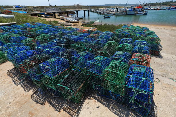 물고기 함정 - 선착장에있는 문어 냄비. 알보르 포르티마오-포르투갈-328 - fish trap 뉴스 사진 이미지