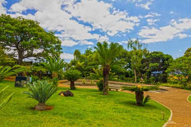 istock Funchal, Madeira island, Portugal 1403315095
