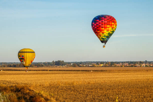 Hot air balloons flying over the cornfields outside Coruche in Portugal, during the Ballooning Festival. stock photo