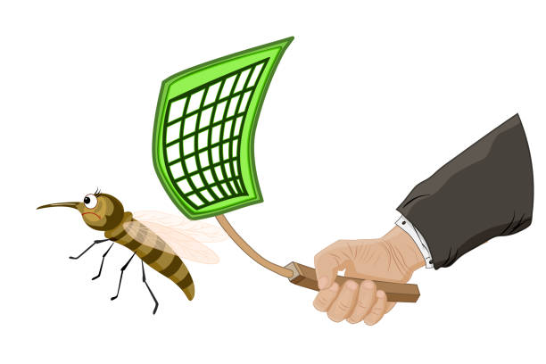 Fly and flyswatter in hand isolated on white background. Hand killing fly with swatter. vector art illustration