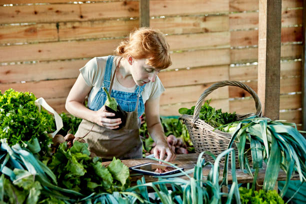 istock Female farm worker noting organic harvest on digital tablet 1403324323