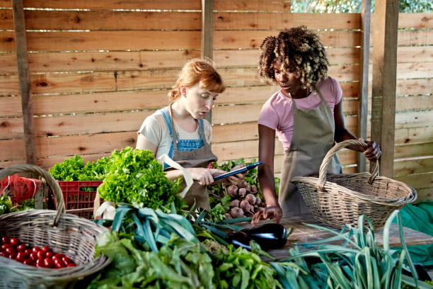 istock Organic farm workers using digital tablet to manage harvest 1403324329