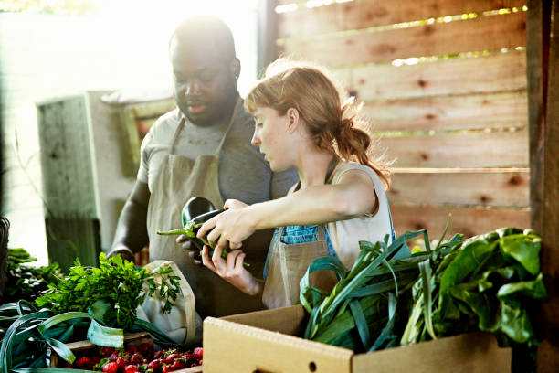 istock Farm workers organizing harvested fruit and vegetables 1403325063