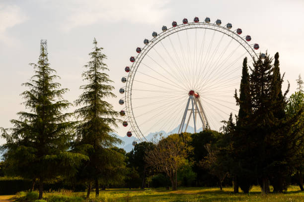 istock Ferris wheel among green trees 1403325334