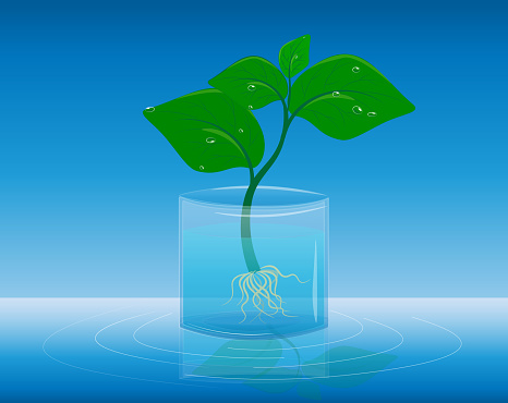 Illustration of a small tree sprout. Planet Day, the day when everyone plant trees and ennoble our mother earth. Ecology. Fresh air. Oxygen is important to our life. Let's save our nature together.