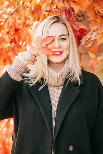 Stylish blonde with red lipstick on her lips in wool sweater and black coat stands against background of bright autumn foliage and covers her face with orange leaf. Colors of autumn. Seasons .