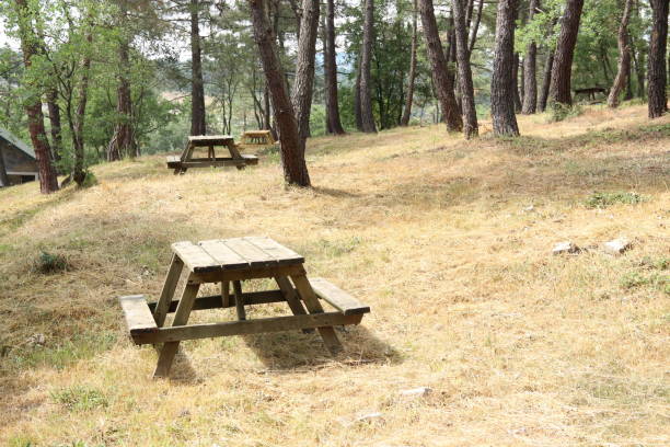 istock Woodland picnic tables greenery and flowers 1403329470