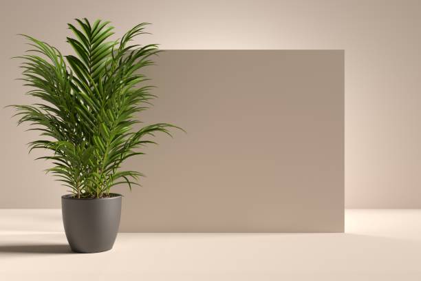 istock Abstract beige background with palm tree leaves and copy space 1403330608