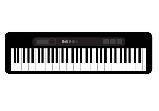 piano keyboard keys vector illustration piano keyboard keys vector illustration in white background computer keyboard keys stock illustrations