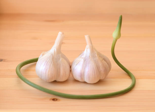 Garlic scape with two garlic bulbs on a wooden table stock photo