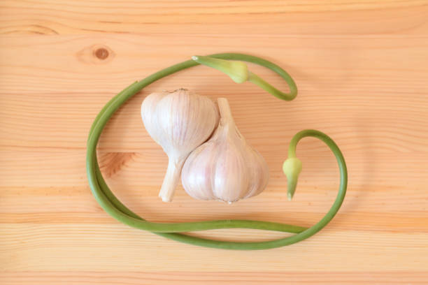 Garlic scapes with two garlic bulbs with a wooden background stock photo