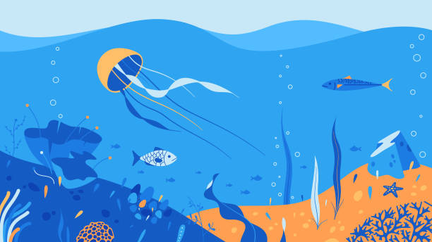 ilustraciones, imágenes clip art, dibujos animados e iconos de stock de ilustración vectorial del fondo conceptual del mundo submarino. - jellyfish animal cnidarian sea
