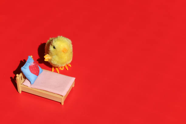 istock Cute little chick getting ready to go to sleep in her bed. 1403363548