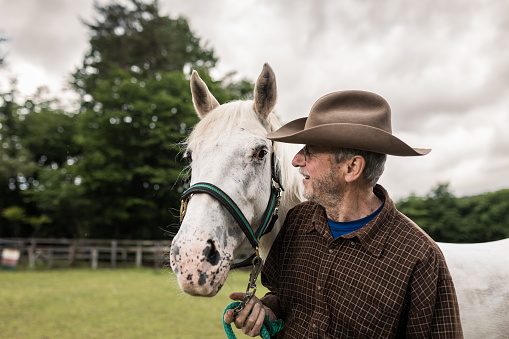 A senior man with his white horse in a paddock.