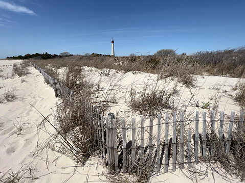Fence on sand dunes with lighthouse in background in Cape May Point State Park, Cape May, New Jersey, USA