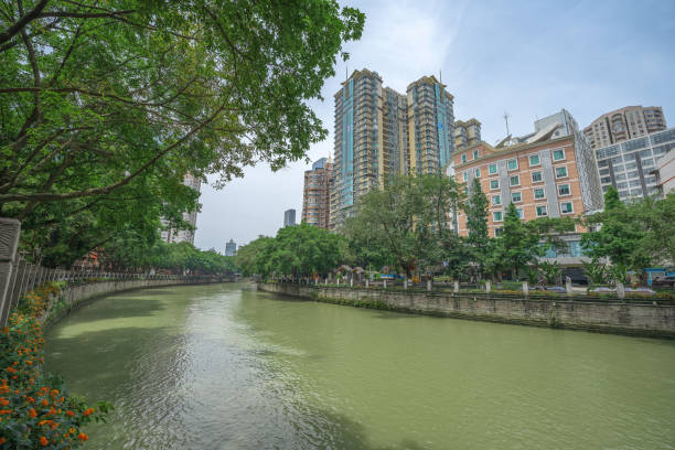 istock Sunny day riverside Chengdu City 1403376622