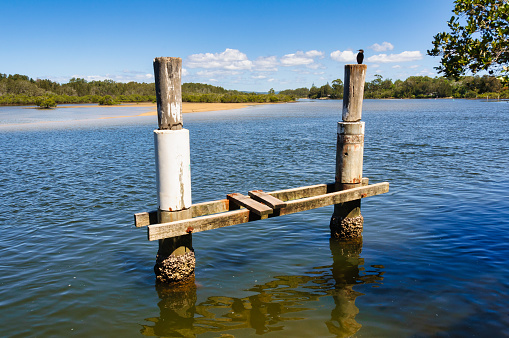 A cormorant on the remnant of an old pier  - Nambucca Heads, NSW, Australia