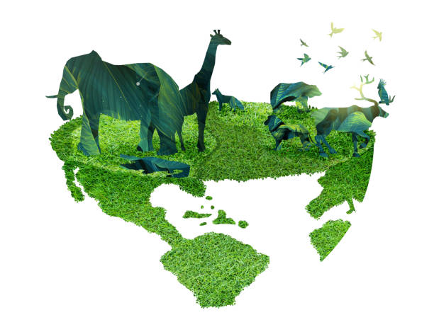 istock wildlife silhouette on earth wildlife conservation concept 1403380168