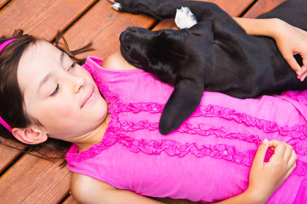 Mixed raced girl hugging new 5 weeks old black great dane puppy laying outside wooden patio deck.