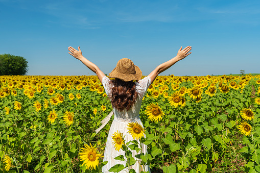 cheerful woman with arms raised and enjoying with sunflower field