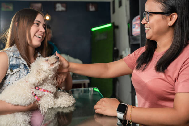 recepcionista en un salón de perros acariciando al perro de un cliente - perro peruano fotografías e imágenes de stock