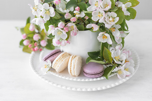 Beautiful composition with delicious French macarons and spring flowers in a white cup. Sweet dessert, early spring white and pink flowers, wedding decor