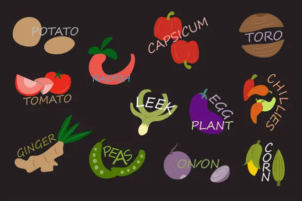 Vector illustration of Vegetable sticker vector illustration art design hand drawn All items are separate.
