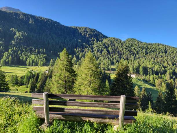 istock Bench with refreshing summer view in Val di Campo, Poschiavo. 1403385470