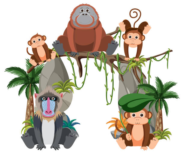 Cute Orangutan Illustrations, Royalty-Free Vector Graphics & Clip Art - iStock Cute Orangutan Illustrations, Royalty-Free Vector Graphics & Clip Art - iStock