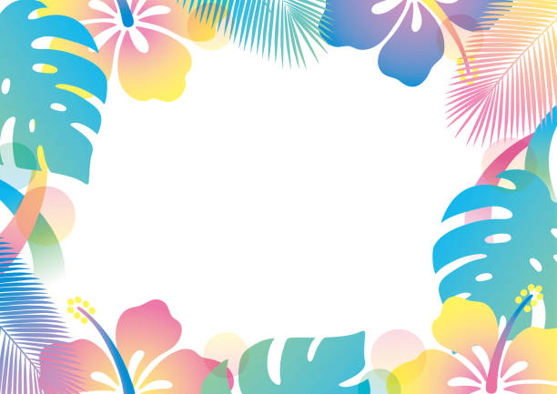 Colorful hibiscus design frame in summer Colorful hibiscus design frame in summer asian wallpaper stock illustrations