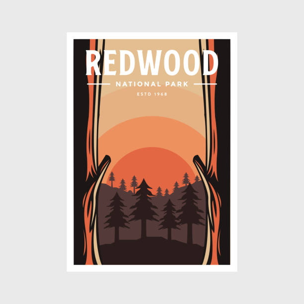 Redwood National Park poster vector illustration design